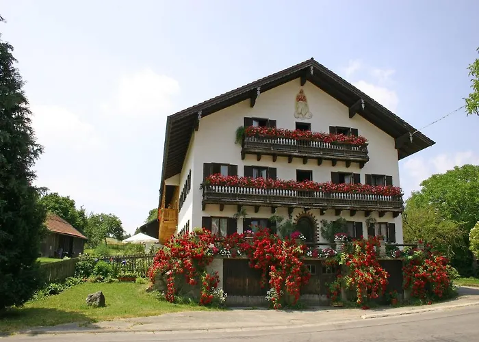 Zum Dammerbauer
