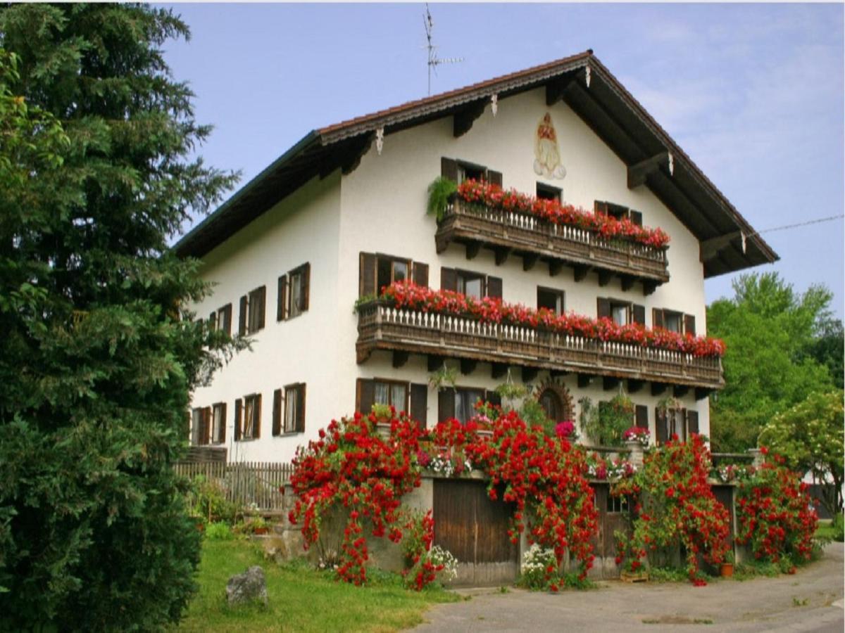Apartment Zum Dammerbauer *